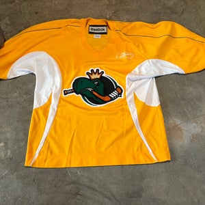 Reebok Team Set Hockey Jerseys and Socks Riverkings