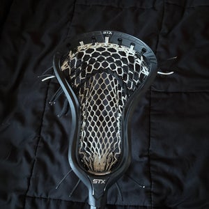 STX Strung Stallion 1K Head (Used)