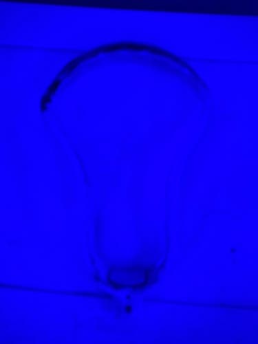STX Unstrung Stallion 1K Head (Used)