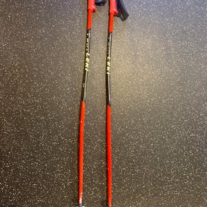 40in (100cm) Leki World Cup - GS Ski Poles (Used)