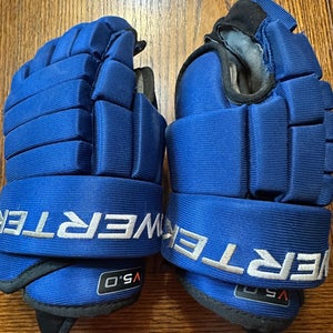 Hockey Gloves 12" (Used)