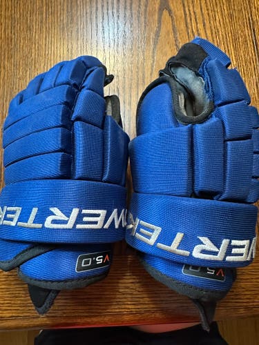 Hockey Gloves 12" (Used)