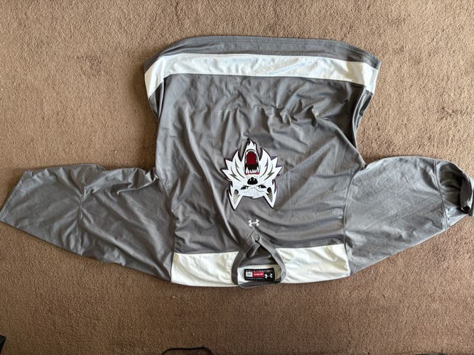 Gray Goalie Cut Men's Under Armour Ice Dogs Jersey
