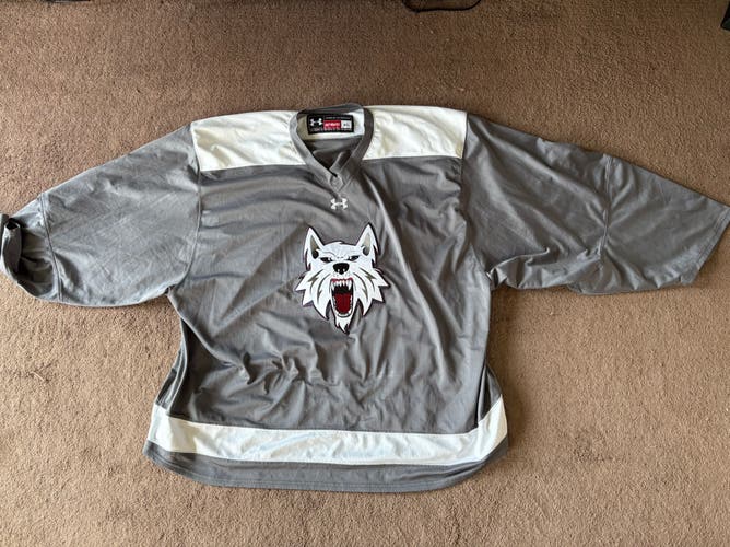 Gray Goalie Cut Men's Under Armour Ice Dogs Jersey
