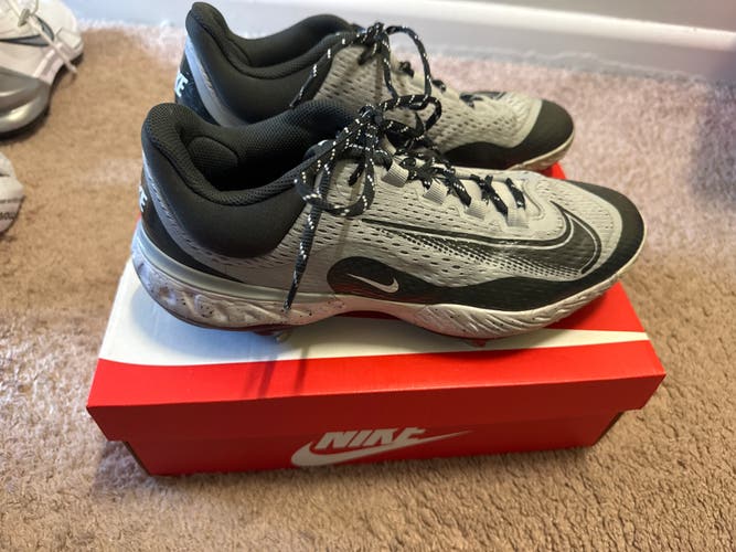 Men's Size M 11.5 (W 12.5) Nike (Used)