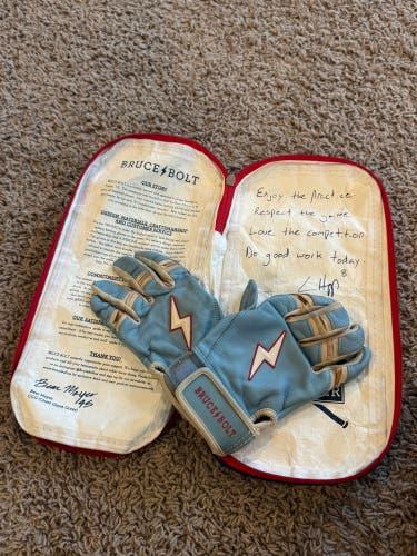 YS Bruce Bolt Batting Gloves - Ian Happ Edition