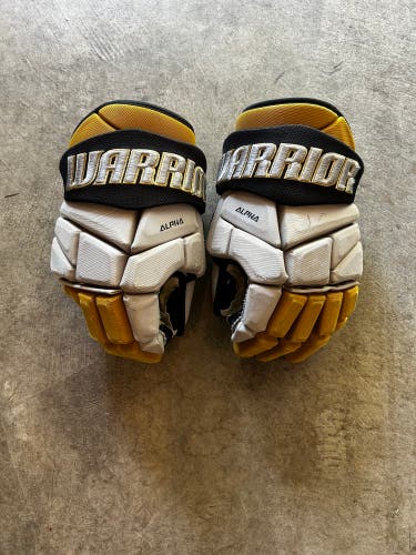 Warrior Alpha Pro Gloves 14" Pro Stock (Used)