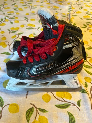 Bauer Vapor X2.9 Goalie Skates
