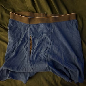 Mens briefs (used)