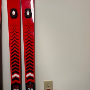 Volkl 193 cm Skis (Used) (928)