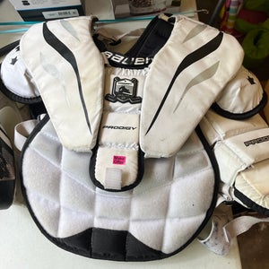 Small Chest Protector (Used)