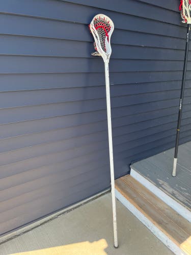 Complete Defense Warrior Burn Stick (Used)