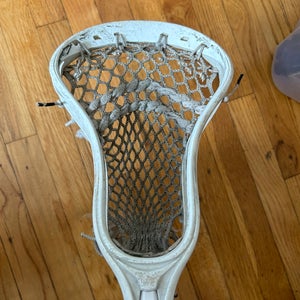 STX Strung Stallion Head (Used)