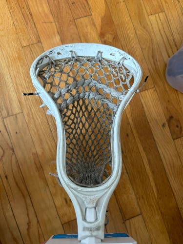 STX Strung Stallion Head (Used)