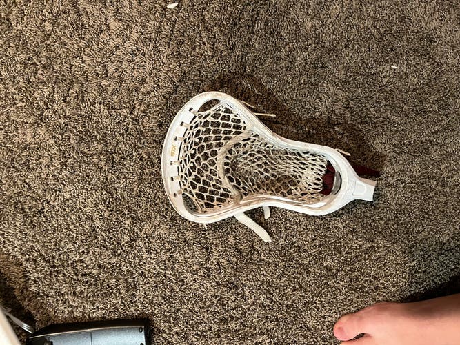 STX Hammer Head (Used)