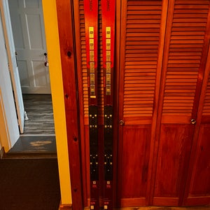 Men's 2023 Atomic 193 cm Racing Race GS Skis Without Bindings Max Din 20 (Used)