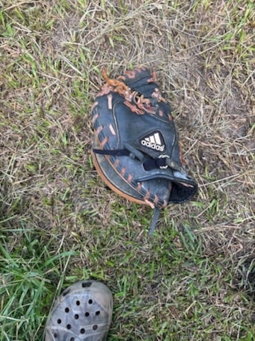 Catcher's Adidas LH Baseball Glove 31" (Used)