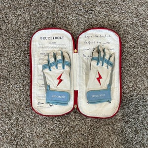 Large  Batting Gloves (Used)