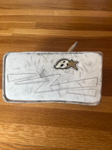 2021 Brian's NetZero 2 Regular (Used)