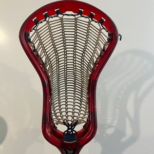 ECD Ion Ruby Red Head (1 Year Old) W/ Armor Mesh Pocket (3 Months Old)