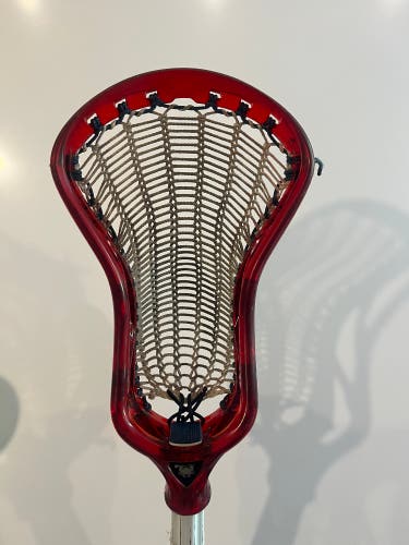 ECD Ion Ruby Red Head (1 Year Old) W/ Armor Mesh Pocket (3 Months Old)
