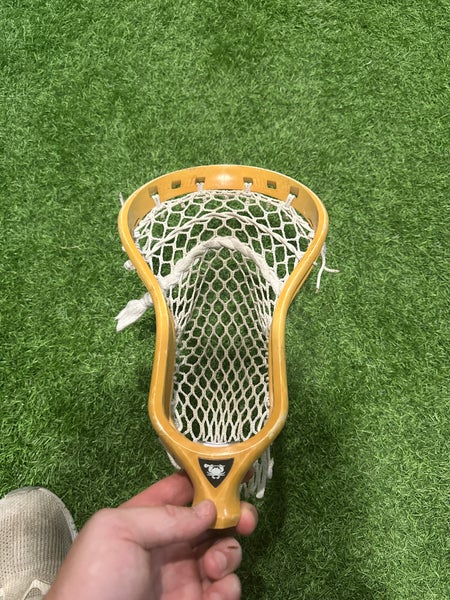 ECD Head With 5s