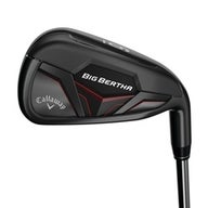 2019 Big Bertha