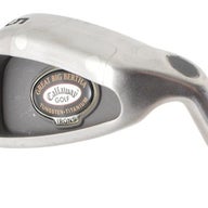 Big Bertha Tungsten Titanium
