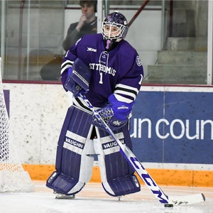 CUSTOM Vaughn Regular Goalie Full Set - 2 Gloves