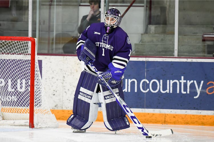 CUSTOM Vaughn Regular Goalie Full Set - 2 Gloves