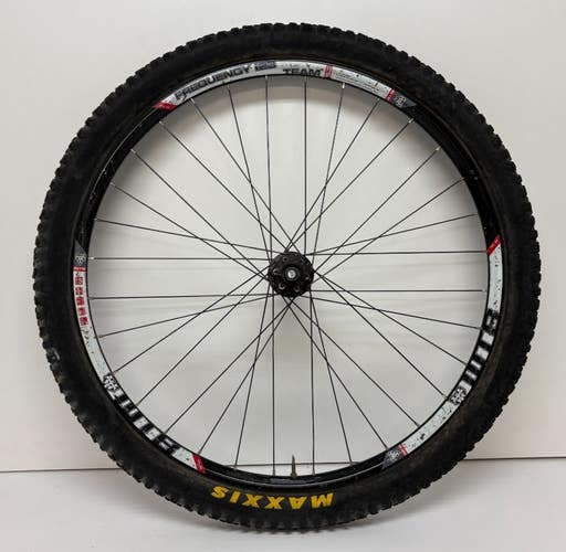WTB Frequency i23 Aluminum Disc Brake Tubeless Thru Axle 29" Rear Wheel DT Swiss