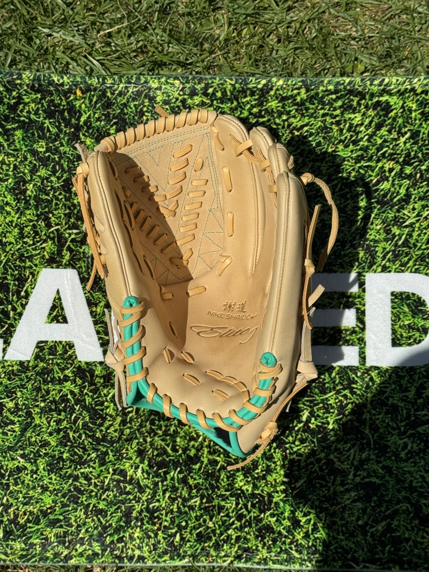 レア ほぼ新品 Nike 謝道　Elite J Baseball Glove s-l400.jpg