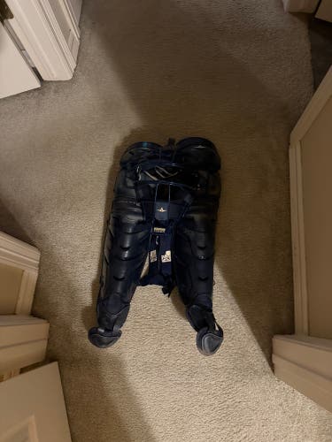 All Star Catcher's Leg Guard (Used) And Mask
