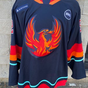 CCM Pro Stock Coachella Valley Firebirds Blue Game Jersey FIBIGR 7382