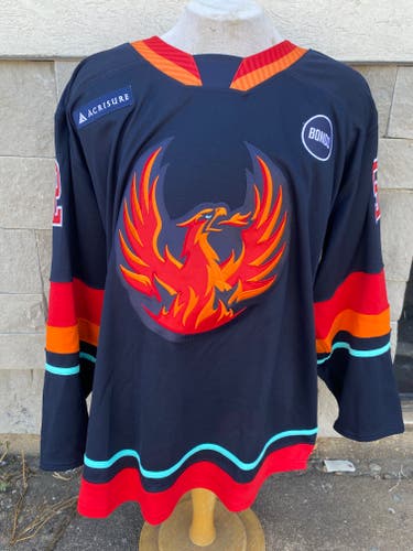CCM Pro Stock Coachella Valley Firebirds Blue Game Jersey FIBIGR 7382