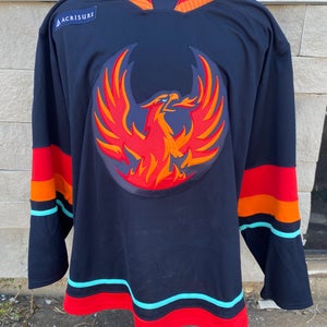CCM Pro Stock Coachella Valley Firebirds Blue Game Jersey OTTENBREIT 7382