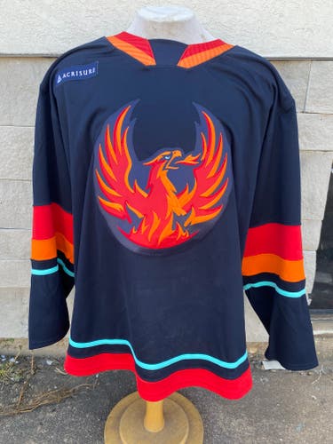 CCM Pro Stock Coachella Valley Firebirds Blue Game Jersey OTTENBREIT 7382