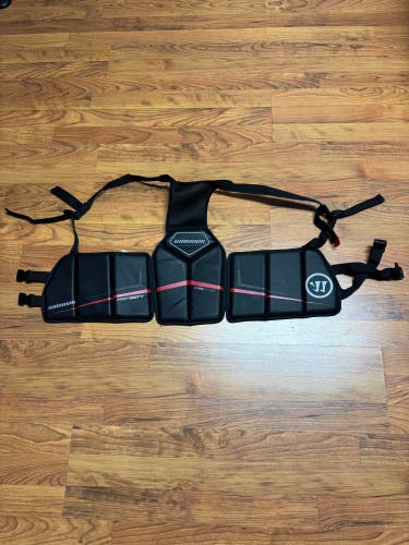 Warrior Fatboy Kidney Pads