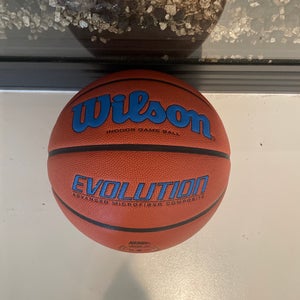 Wilson Evolution Indoor Basketball