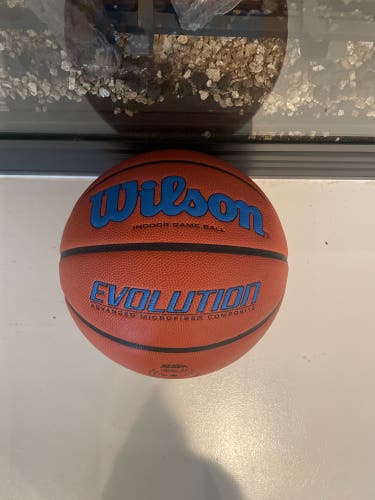 Wilson Evolution Indoor Basketball