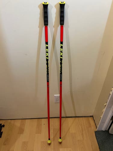 Red GS Ski Poles 50inch/125cm