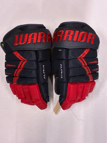 Blue Senior Warrior Alpha DX3 Gloves 14" (Used)