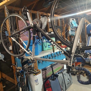 Men's 2009 Giant Road Bike S (Used)