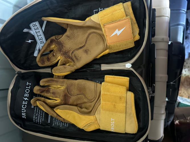 Bruce bolt batting gloves