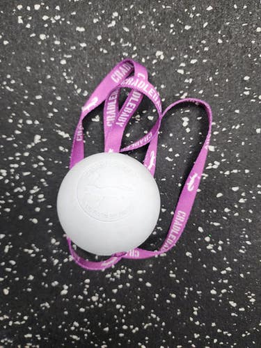Used Lacrosse Training Aid 11849-S000029928