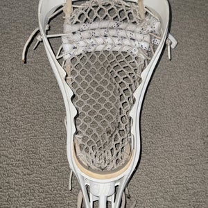 Rare Warrior Predator Strung Head (Used)