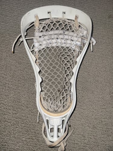 Rare Warrior Predator Strung Head (Used)