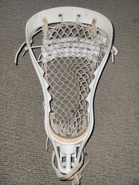 Rare Warrior Predator Strung Head (Used)