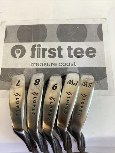 Nancy Lopez Albany Series 200 Iron Set 7-PW, SW With Ladies Graphite Shafts