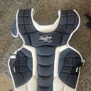 Rawlings Catchers gear